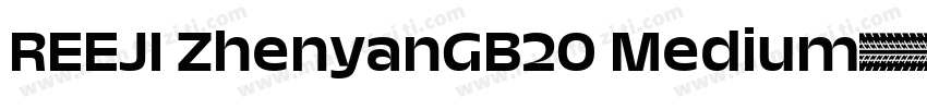 REEJI ZhenyanGB20 Medium字体转换